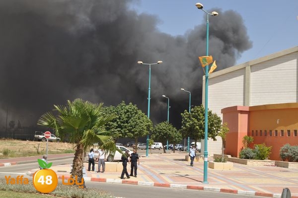 fireramlasejn4288 (48).JPG